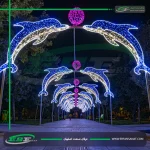 تونل نوری دلفینی