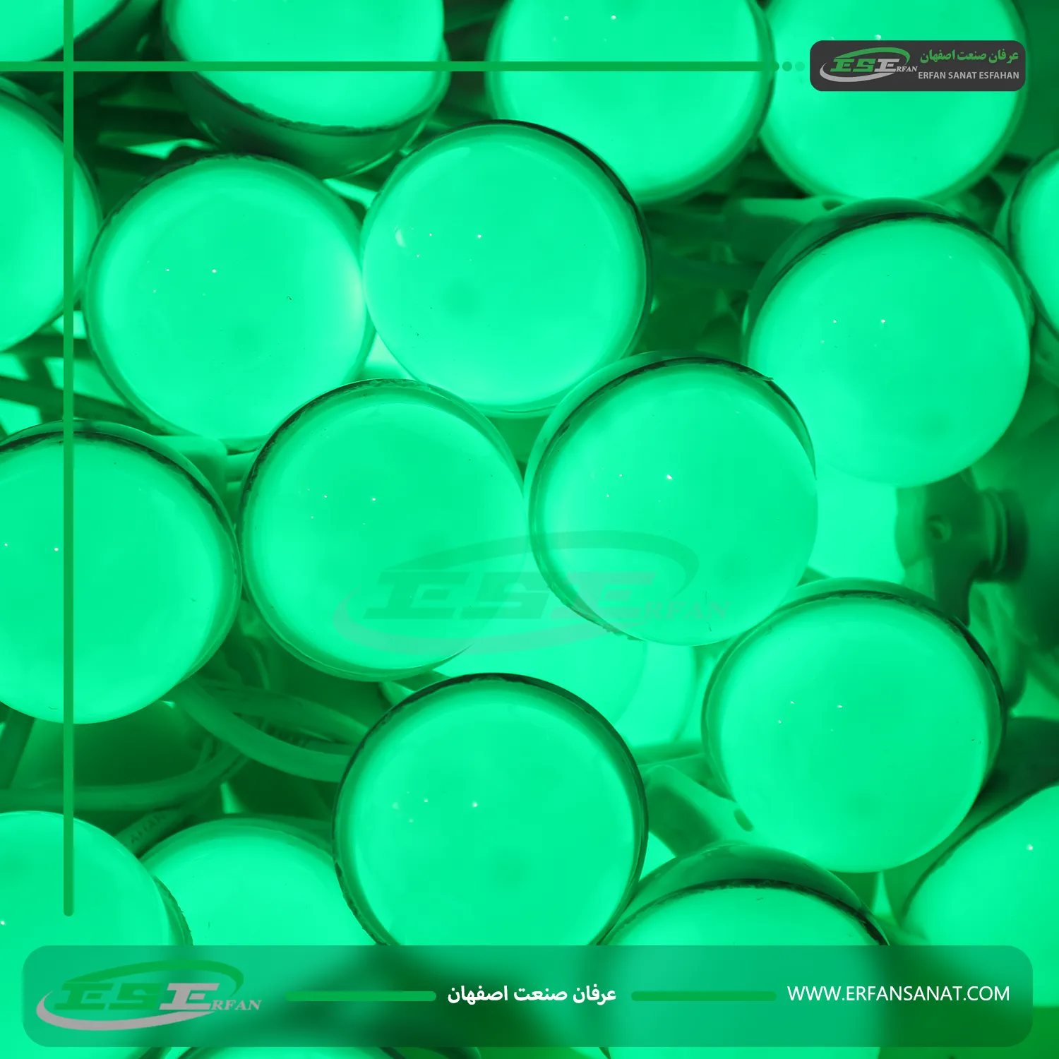 ریسه فندقی تک رنگ به رنگ بنفش